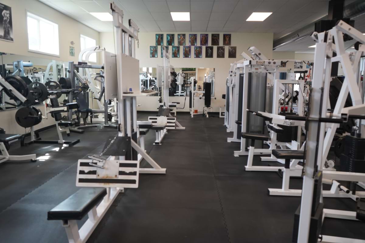 Cable and plate-loaded machine row at Trabucco Fitness