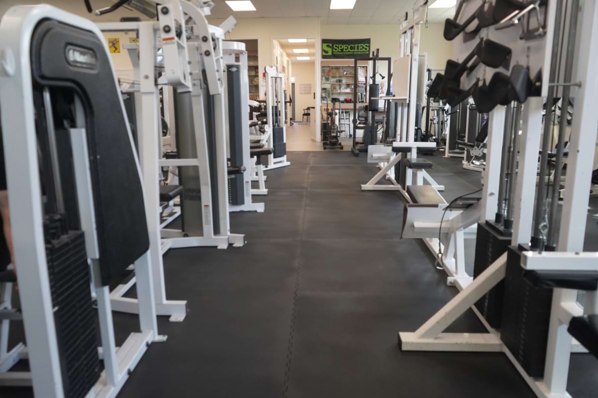 Training floor aisle toward the therapy suite