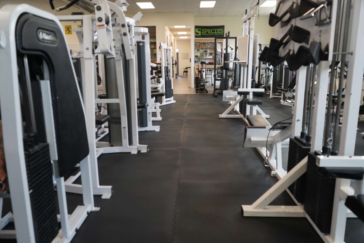 Machine row leading to the therapy suite